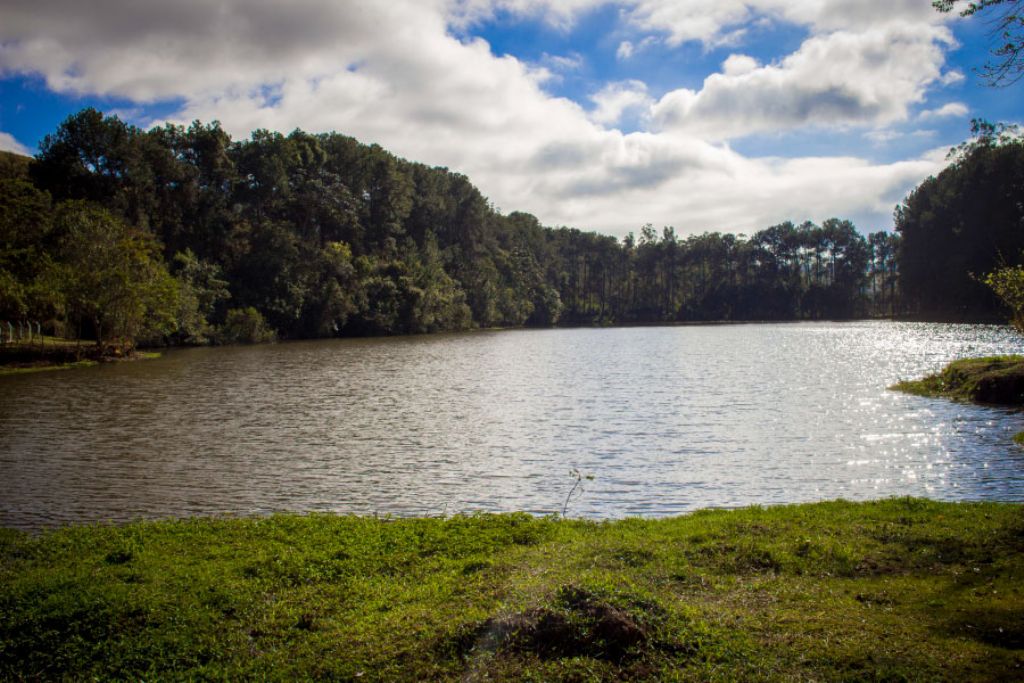 Secretaria de Meio Ambiente promove Domingo Especial no Horto Florestal