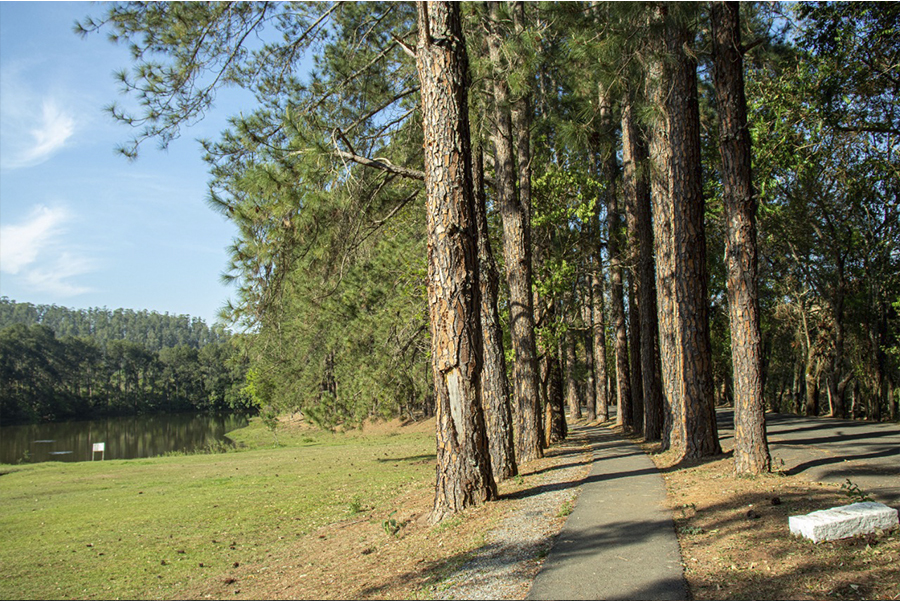 Semana do Meio Ambiente tem programação especial em Pouso Alegre