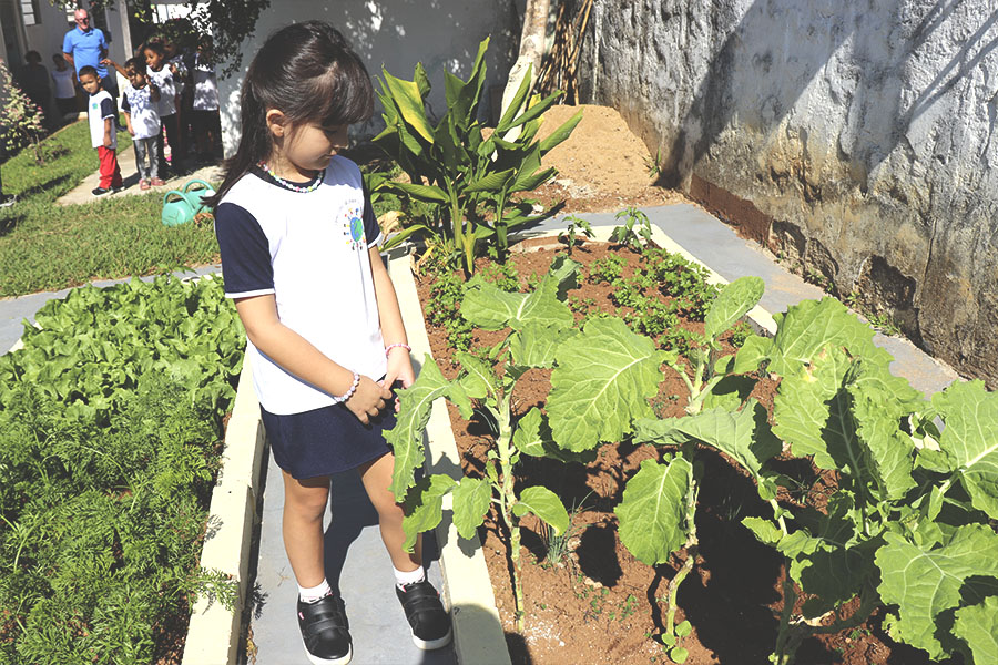 Horta na escola: projeto ensina crianças a plantar, cuidar e colher