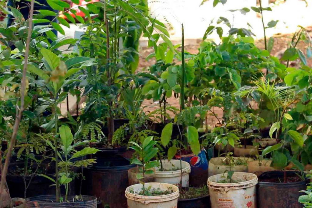 ONG lança projeto ambiental e recebe apoio da Prefeitura